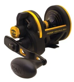 PENN Squall® Lever Drag Reel