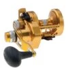 PENN Torque® Lever Drag 2 Speed -Sports-Fishing-PENN 1315422 15 Gold MS 1