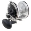 PENN US Senator® -Sports-Fishing-PENN 1347900 113N MS 1