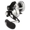 PENN Fathom® II Lever Drag 2 Speed 1 PENN Fathom® II Lever Drag 2 Speed -Sports-Fishing-PENN 1573568 1563174 MS