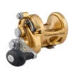 PENN INT16VISX International 16VISX Reel - Gold -Sports-Fishing-PENN CW72963 14374.1672153001