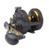 PENN FTHII25NSD Fathom II Star Drag Conventional Reel 2 PENN FTHII25NSD Fathom II Star Drag Conventional Reel -Sports-Fishing-PENN CW80508 10281.1672152368
