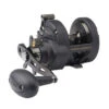 PENN FTHII25NSDP Fathom II Star Drag Conventional Reel -Sports-Fishing-PENN CW80509 81889.1672152369