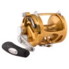 PENN International VI Series INT50VIW Trolling Reel -Sports-Fishing-PENN CW82107 25643.1672153050