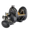 PENN Squall II Star Drag Conventional Reel - SQLII25NSD -Sports-Fishing-PENN CW85473 18498.1672153078