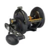 PENN Squall II Star Drag Conventional Reel - SQLII30SD 2 PENN Squall II Star Drag Conventional Reel - SQLII30SD -Sports-Fishing-PENN CW85475 55582.1672153079