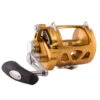 PENN International VI Series INT30VIW Trolling Reel 1 PENN International VI Series INT30VIW Trolling Reel -Sports-Fishing-PENN CW90467 58995.1672152571