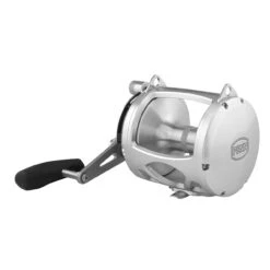 PENN International 80 VISWS INT80VISWS 2-Speed Conventional Reel - Silver -Sports-Fishing-PENN CW94671 1 10409.1672152672