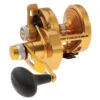 PENN Torque Lever Drag 2 Speed Reel Gold TRQ25NLD2 2 PENN Torque Lever Drag 2 Speed Reel Gold TRQ25NLD2 -Sports-Fishing-PENN CW97437 66219.1672152700
