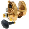 PENN Torque Lever Drag 2 Speed Reel Gold TRQ30LD2