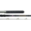 Penn Carnage II Boat Rods -Sports-Fishing-PENN penn carnage ii boat rods 83593.1651033447