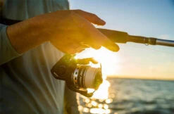 Penn Pursuit IV Spinning Reels -Sports-Fishing-PENN penn pursuit iv spinning reels 56136.1656656295