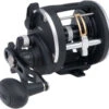 Penn Rival Level Wind Reels -Sports-Fishing-PENN penn rival level wind reels 30435.1650814913