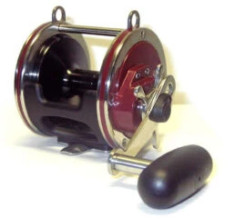 Penn Special Senator H2 Reels -Sports-Fishing-PENN penn special senator h2 reels 00188.1650814942