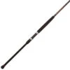 Penn Squadron II Surf Rods -Sports-Fishing-PENN penn squadron ii surf rods 69662.1650815042