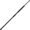 Penn Squadron III Surf Spinning Rods -Sports-Fishing-PENN penn squadron iii surf spinning rods 00508.1681843374