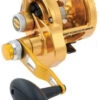 Penn Torque Lever Drag 2 Speed Reels -Sports-Fishing-PENN penn torque lever drag 2 speed reels 03923.1650815081
