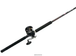 Penn Warfare Level Wind Combos 7 Penn Warfare Level Wind Combos -Sports-Fishing-PENN penn warfare level wind combos 13259.1650815140