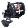 Penn Warfare Level Wind Reels -Sports-Fishing-PENN penn warfare level wind reels 62425.1650815140