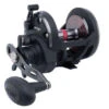 Penn Warfare Star Drag Reels 2 Penn Warfare Star Drag Reels -Sports-Fishing-PENN penn warfare star drag reels 77146.1650815142.386.513